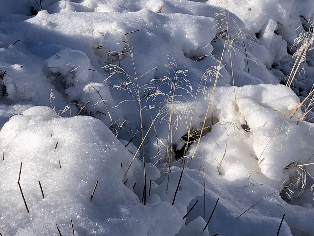 Breaking through the ice